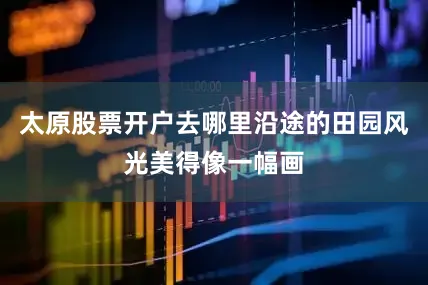 太原股票开户去哪里沿途的田园风光美得像一幅画
