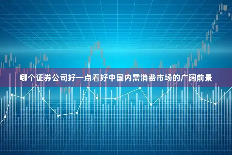 哪个证券公司好一点看好中国内需消费市场的广阔前景