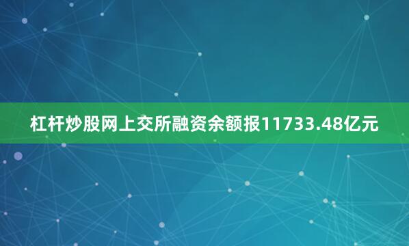 杠杆炒股网上交所融资余额报11733.48亿元